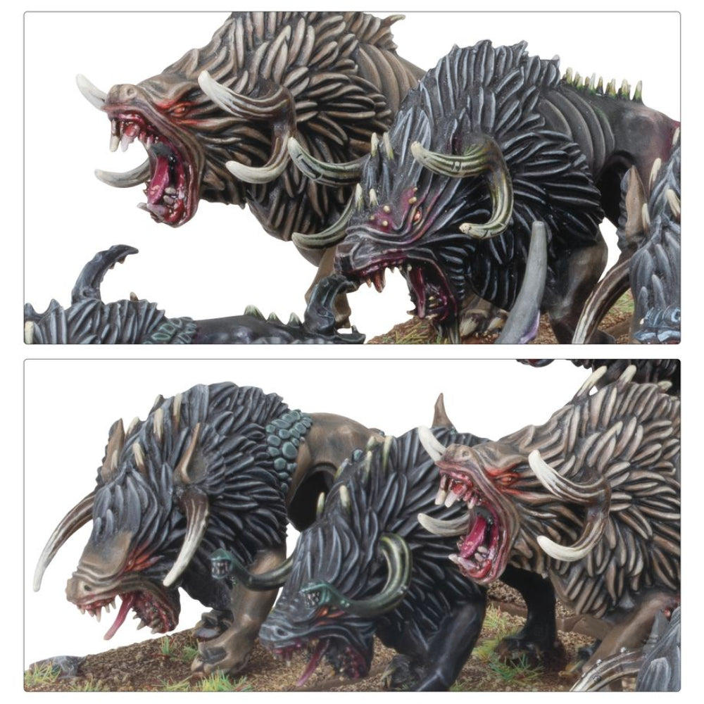 premier Arkansas game store family fun