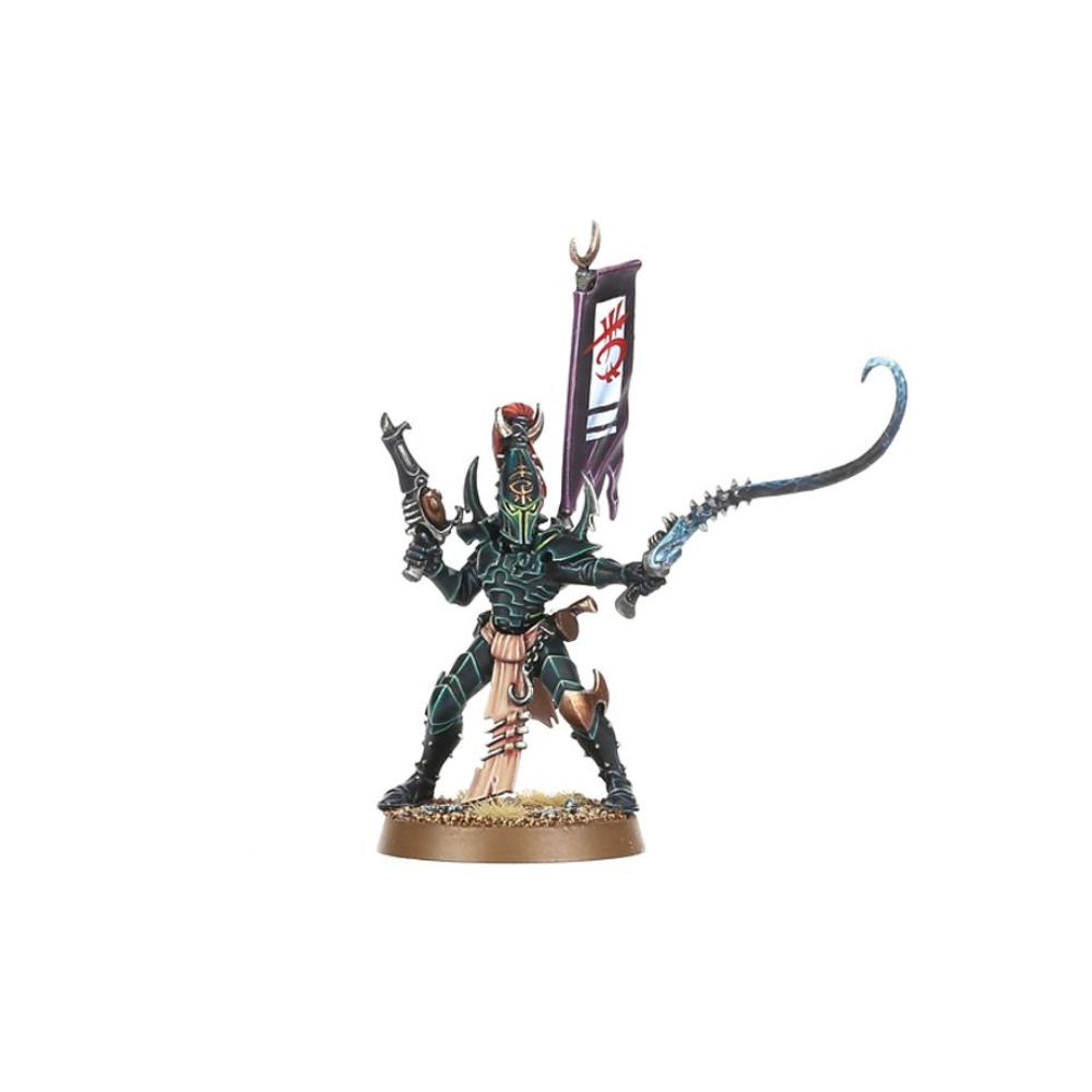 WARHAMMER 40k COMBAT PATROL DRUKHARI PAINTED 6