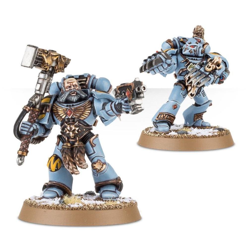 WARHAMMER 40k SPACE WOLVES GREY HUNTERS PAINTED 2