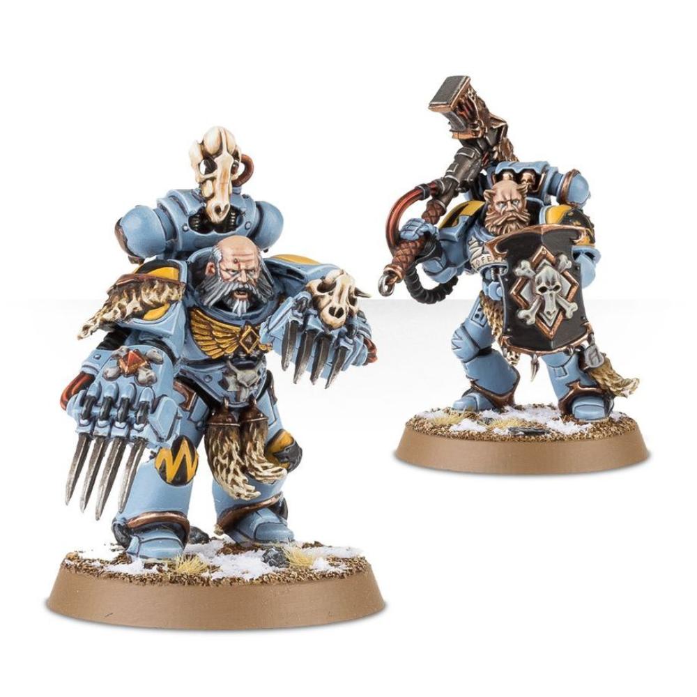 WARHAMMER 40k SPACE WOLVES GREY HUNTERS PAINTED 5