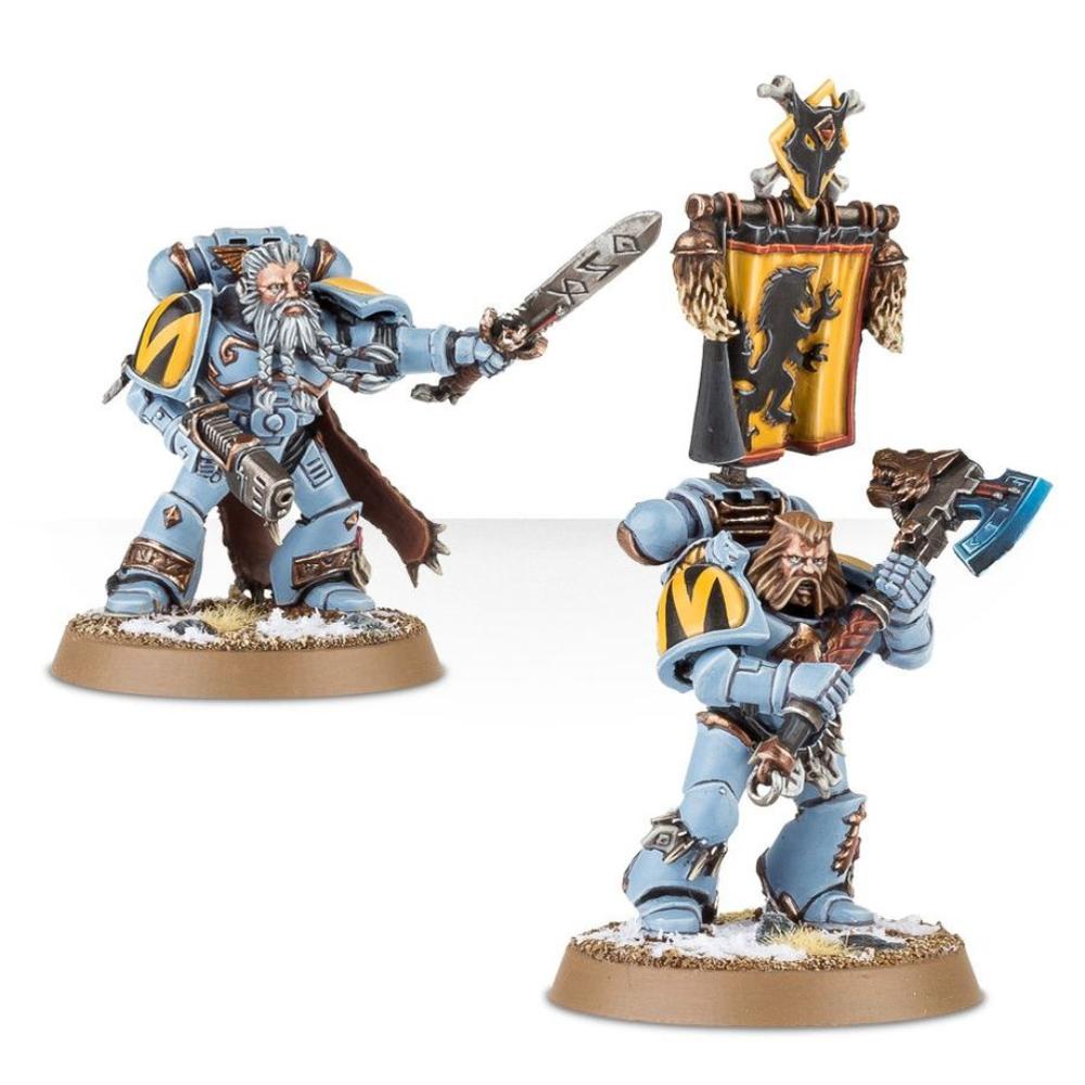WARHAMMER 40k SPACE WOLVES GREY HUNTERS PAINTED 6