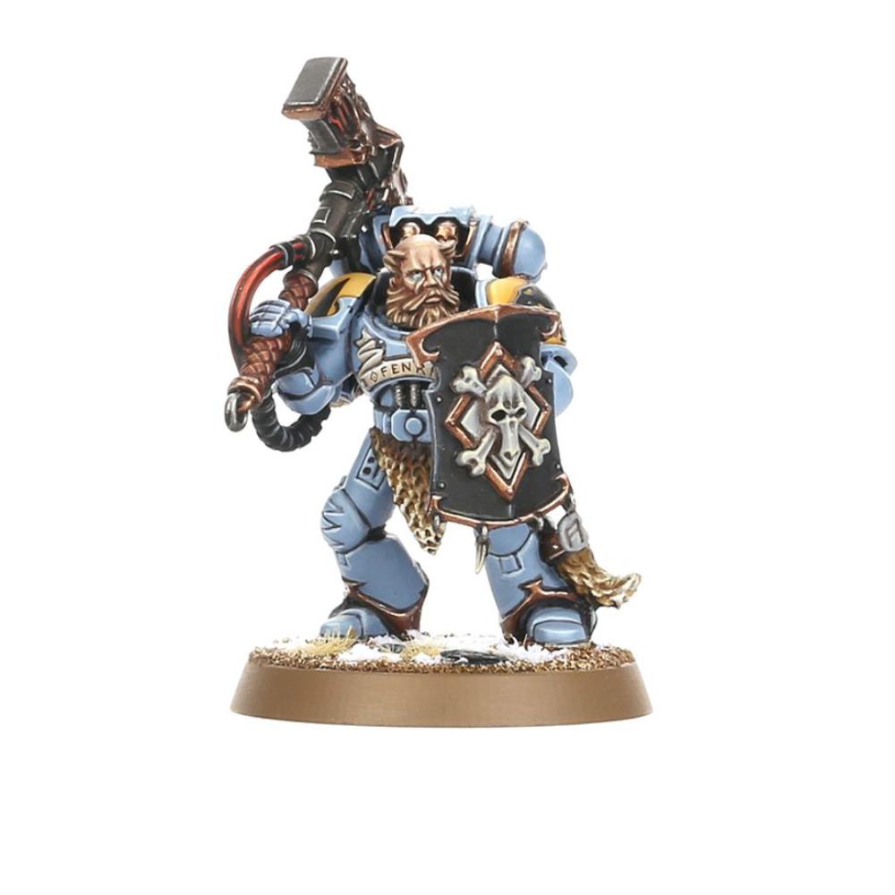 WARHAMMER 40k SPACE WOLVES GREY HUNTERS PAINTED 7