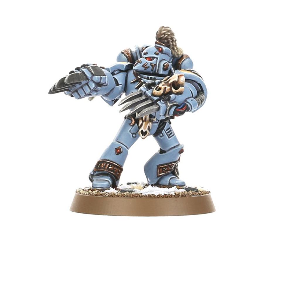 WARHAMMER 40k SPACE WOLVES GREY HUNTERS PAINTED 8