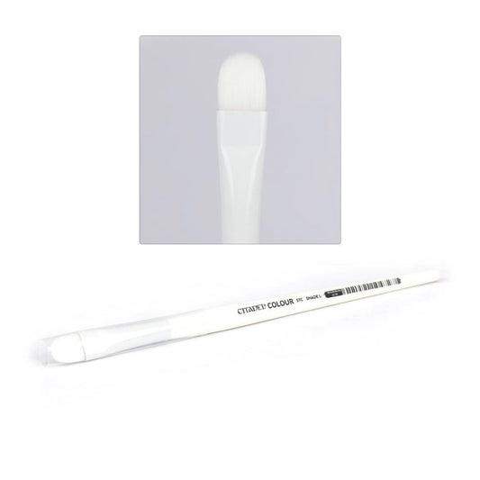 citadel colour stc shade brush Arkansas game store