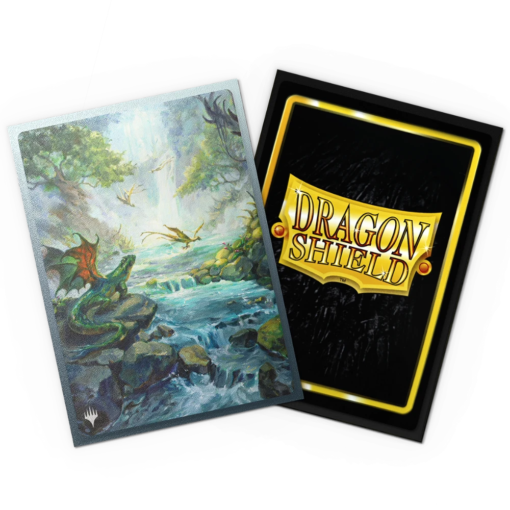 premier Arkansas game store family fun