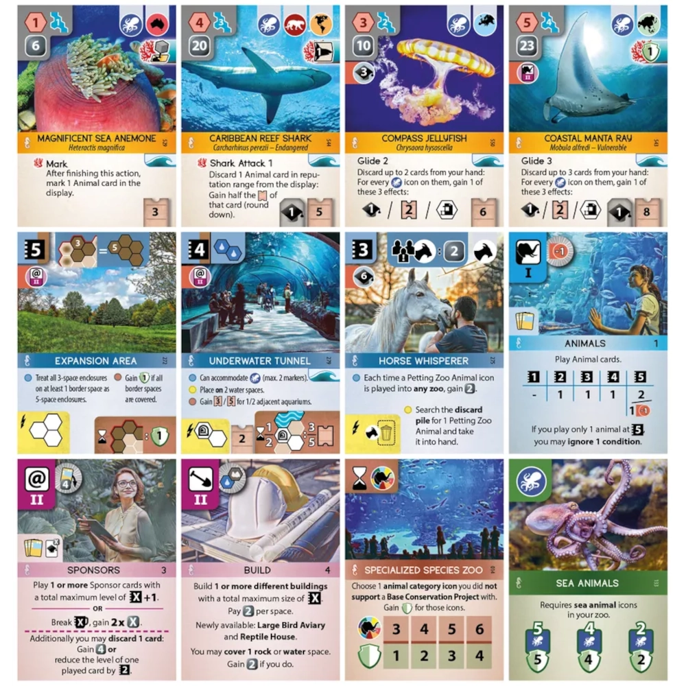 Arkansas premier family game store