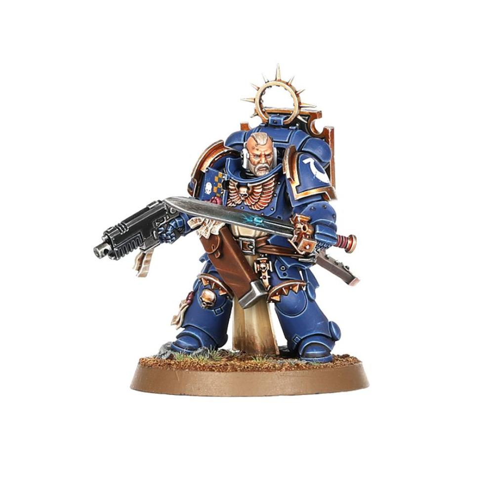 WARHAMMER 40k SPACE MARINES BLADEGUARD VETERANS PAINTED 3