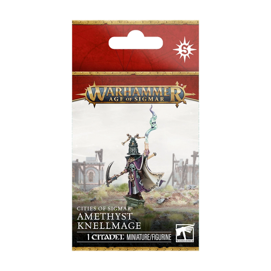 cities of sigmar amethyst knellmage character model