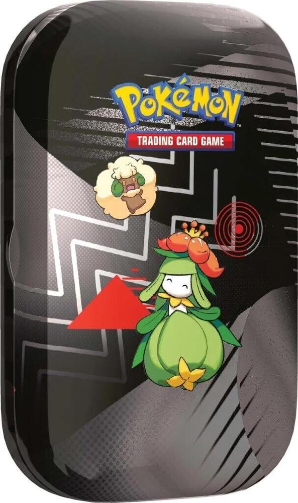 Pokémon trading card game packaging with characters and maze design
