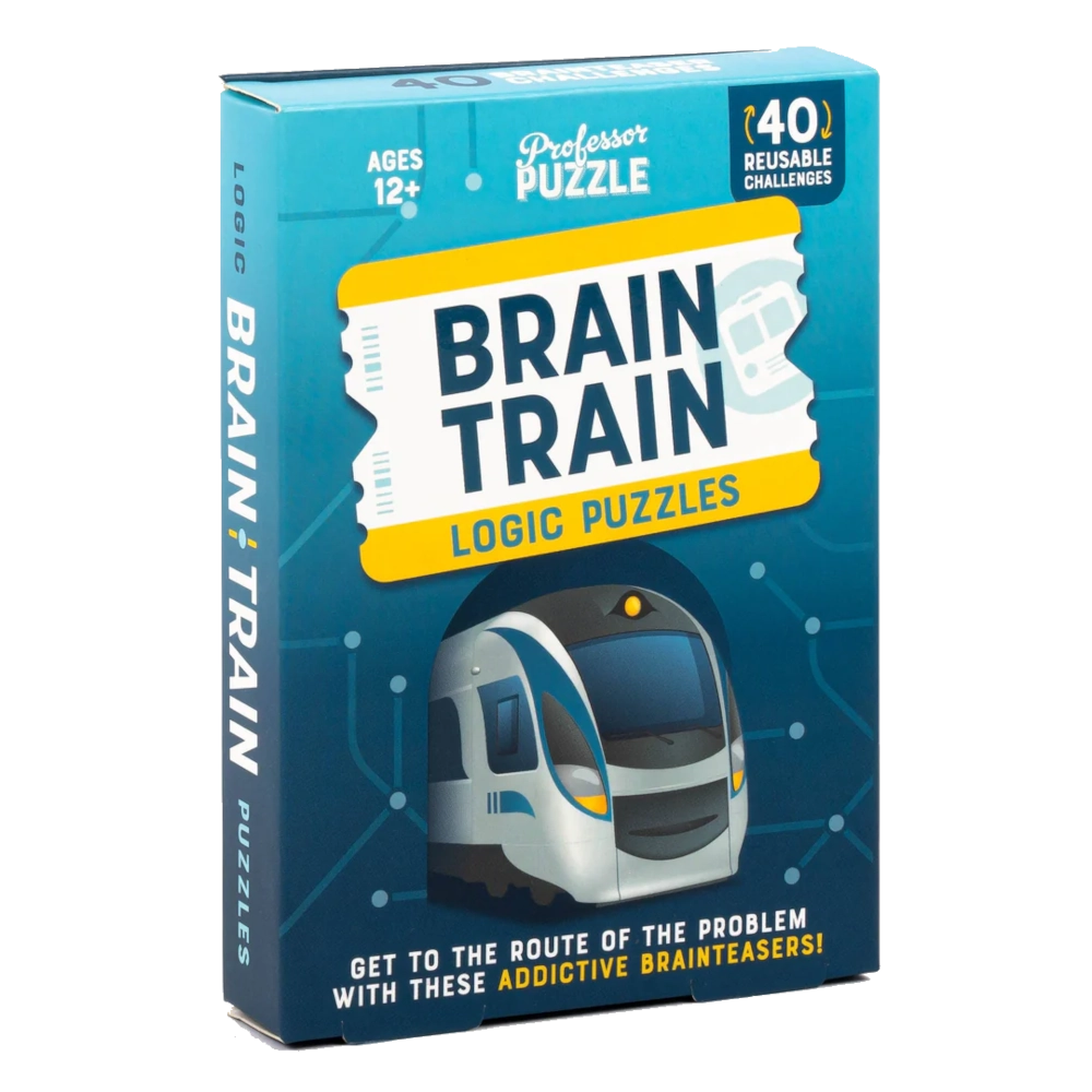 professor puzzle brain train logic puzzle reusable 